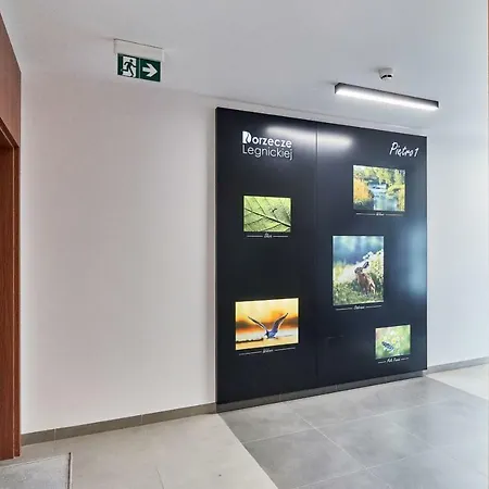 Apartman Malopanewska Wrocław